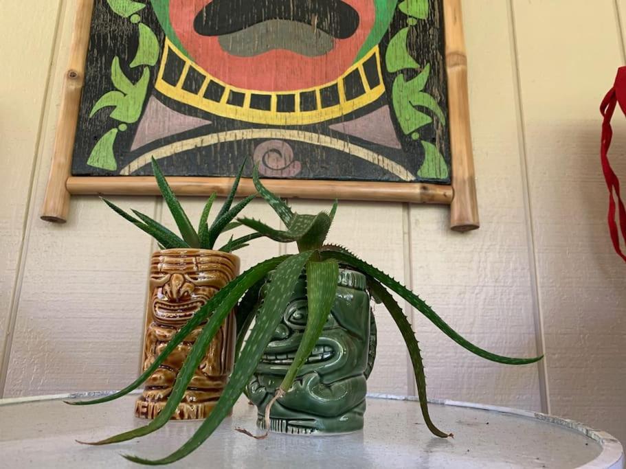 Hau'Oli Place Tiki Cottage In Волкано Экстерьер фото