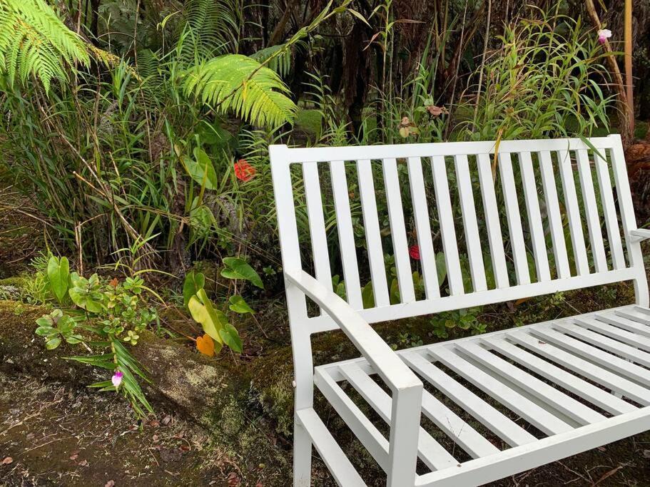 Hau'Oli Place Tiki Cottage In Волкано Экстерьер фото